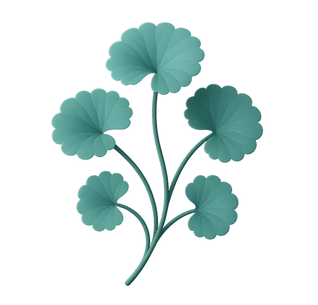 Centella asiática, uno de los ingredientes de Variste que mencionan las compradoras en sus opiniones